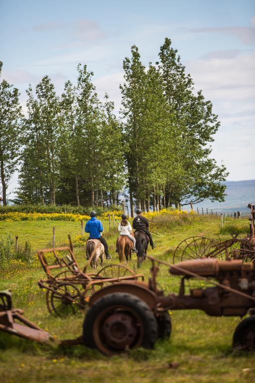Farmhotel Efstidalur Laugarvatn Kültér fotó